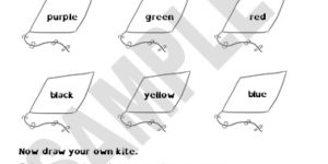 A Kite Race