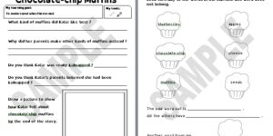 Chocolate-chip Muffins