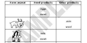 Farm Animals