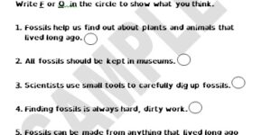 Fossils