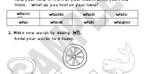 Generic - Digraph wh