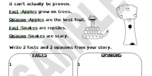 Generic - Fact or Opinion