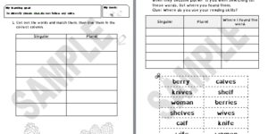 Generic - Irregular Plurals 4