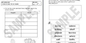 Generic - Irregular Plurals 1