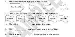 Generic - Vowel Digraphs ow and ou