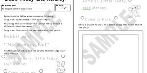 Little Teddy and Monkey