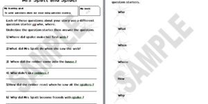 Mrs Spatt and Spider