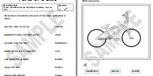 Parts of a Bike