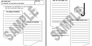 Swimming with Dolphins