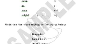 The duck with a broken wing