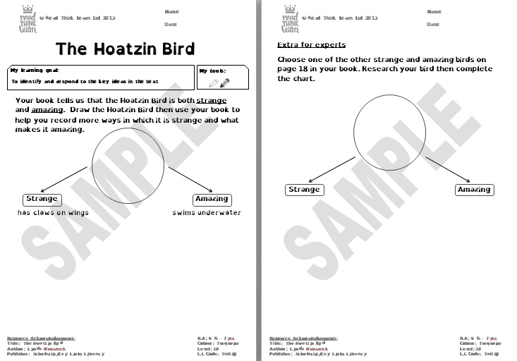The Hoatzin Bird