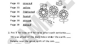 The Sun Goddess