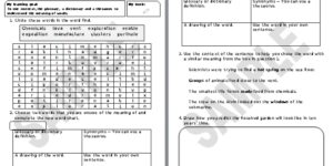 Journey to the Undersea Gardens