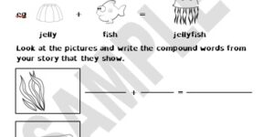 What Does the Tide Bring In?