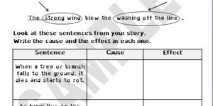 What Lives in a Rotting Log?